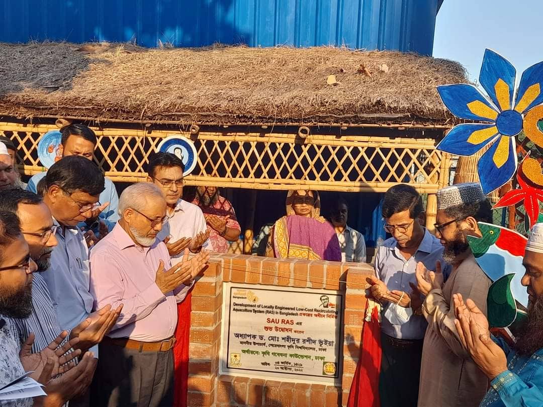 শেকৃবিতে  ৮০-১০০ গুন বেশি মাছ উৎপাদনের দেশীয় প্রযুক্তি উদ্ভাবন  সামছুল আলম