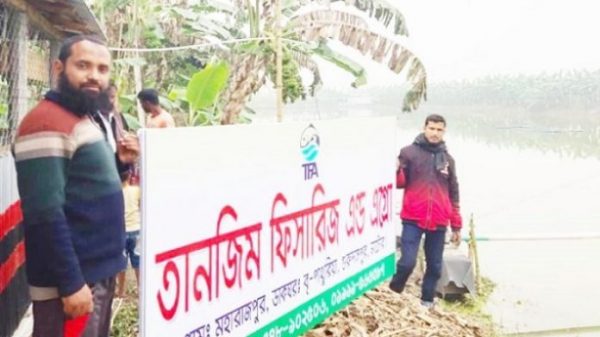 চাকরির পেছনে না ছুটে মাছ চাষে সফল ৭ বন্ধুর তানজিম ফিসারিজ